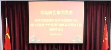 集团召开履行全面从严治党主体责任和抓基层党建述职评议会议